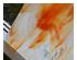 238582_6 thumbnail image