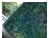 238603_3 thumbnail image