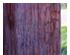 238623_2 thumbnail image