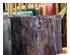 238623_4 thumbnail image