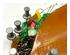 238811_3 thumbnail image
