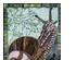 238855_4 thumbnail image