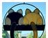 238888_5 thumbnail image