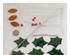 238928_6 thumbnail image