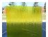 238997_1 thumbnail image