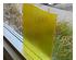 238997_2 thumbnail image
