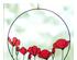 239200_2 thumbnail image