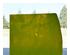 239275_4 thumbnail image