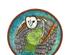 239407_4 thumbnail image