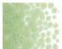 239577_1 thumbnail image