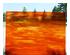239593_1 thumbnail image