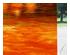 239593_5 thumbnail image