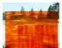 239593_6 thumbnail image