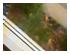 239597_7 thumbnail image