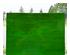 239601_1 thumbnail image