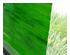 239601_2 thumbnail image