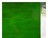 239601_5 thumbnail image