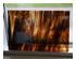 239641_1 thumbnail image