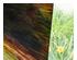 239645_2 thumbnail image