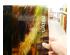 239645_3 thumbnail image