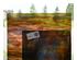 239645_6 thumbnail image