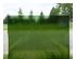 239657_1 thumbnail image