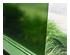 239657_2 thumbnail image