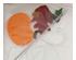 239837_5 thumbnail image
