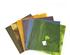 239842_1 thumbnail image