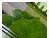 240248_2 thumbnail image
