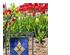 240260_8 thumbnail image