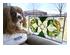 240263_4 thumbnail image