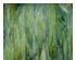 240276_1 thumbnail image