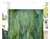 240276_2 thumbnail image