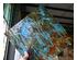 240281_3 thumbnail image