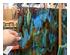 240281_5 thumbnail image