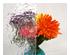 240291_9 thumbnail image