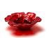 240322_4 thumbnail image