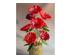240322_5 thumbnail image