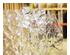 240335_8 thumbnail image