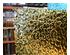 240355_3 thumbnail image