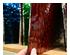 240363_4 thumbnail image