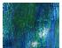 240371_1 thumbnail image