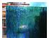 240371_3 thumbnail image