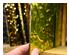 240383_4 thumbnail image
