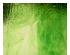240395_1 thumbnail image