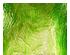 240395_2 thumbnail image