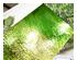 240395_3 thumbnail image
