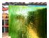 240395_4 thumbnail image