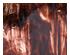 240399_1 thumbnail image